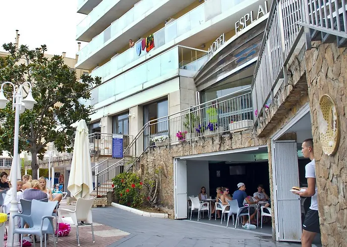 Esplai 3*